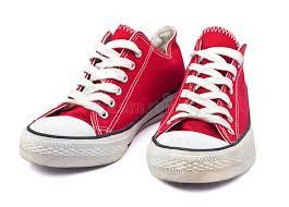 VANS l MULTICOLOR MEN'S SNEAKER SHOES